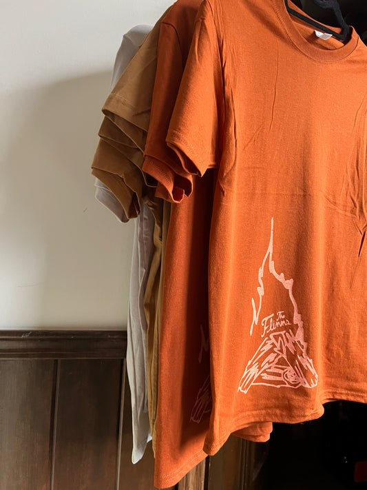 The Flinns Tshirt- Campfire Graphics